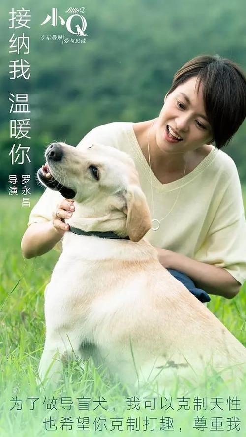 银行存款单假的多少钱